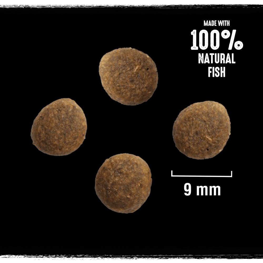 CRAVE™ Adult Dry Cat Food with Salmon & Whitefish 7 Kg - 2