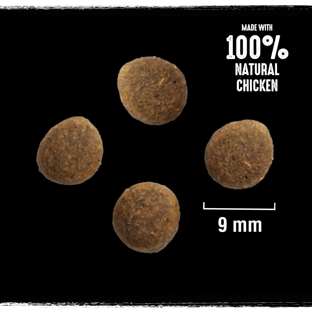 CRAVE™ Adult Dry Cat Food with Turkey & Chicken 7 Kg - 2