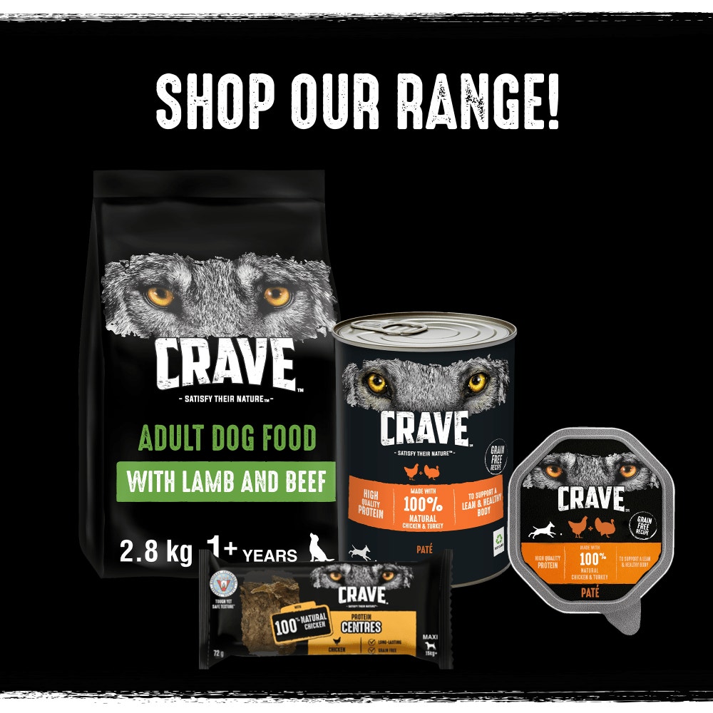 CRAVE™ Natural Grain Free Adult Dog Food Tin Mixed in Loaf 6 x 40g - 4