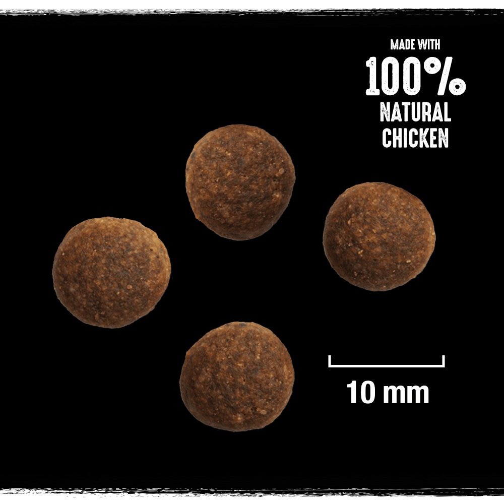 CRAVE™ Adult Dry Dog Food with Turkey & Chicken 1kg, 2.8kg, 7kg & 11.5kg - 2