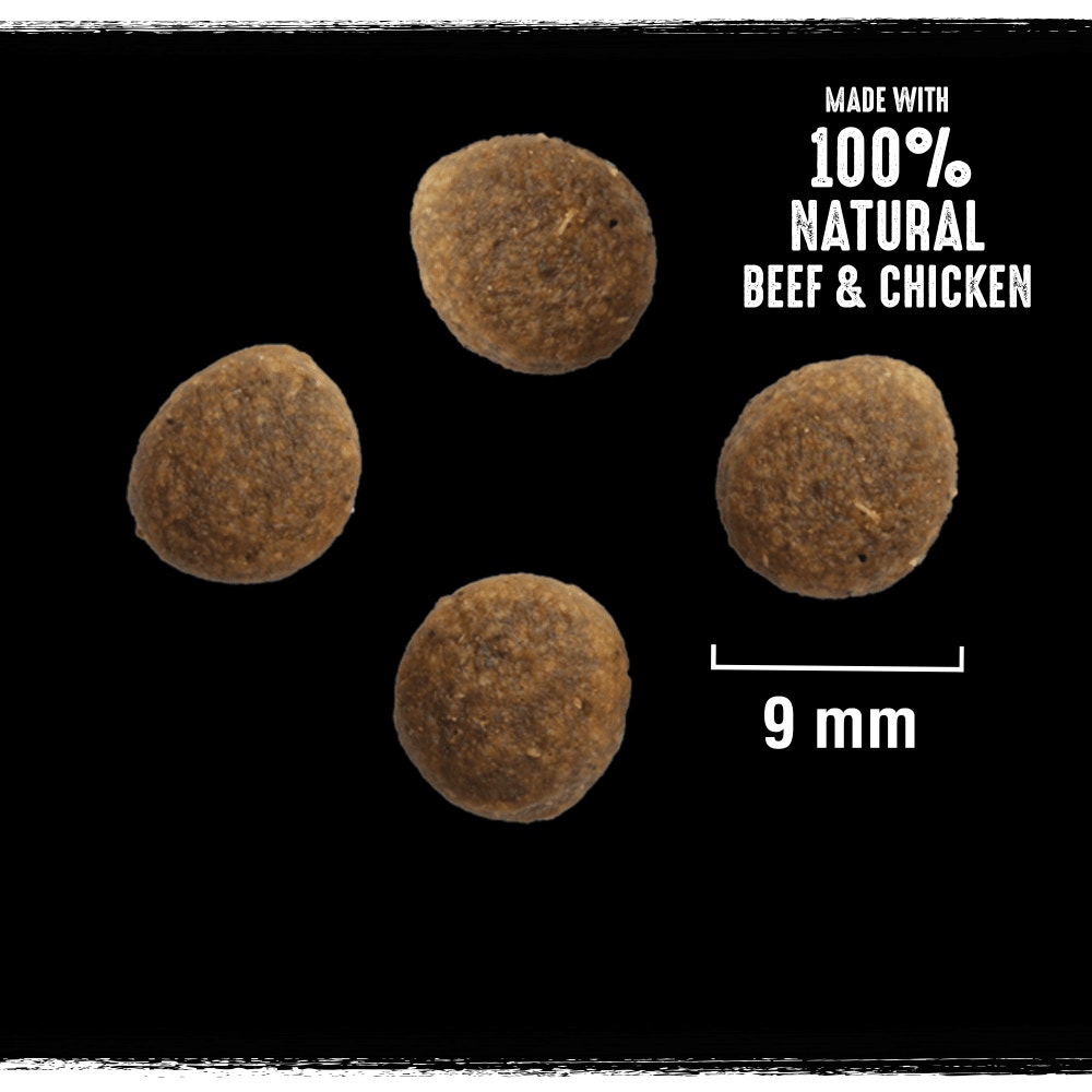 CRAVE™ Adult Dry Cat Food with Beef & Chicken 750g & 7kg - 2